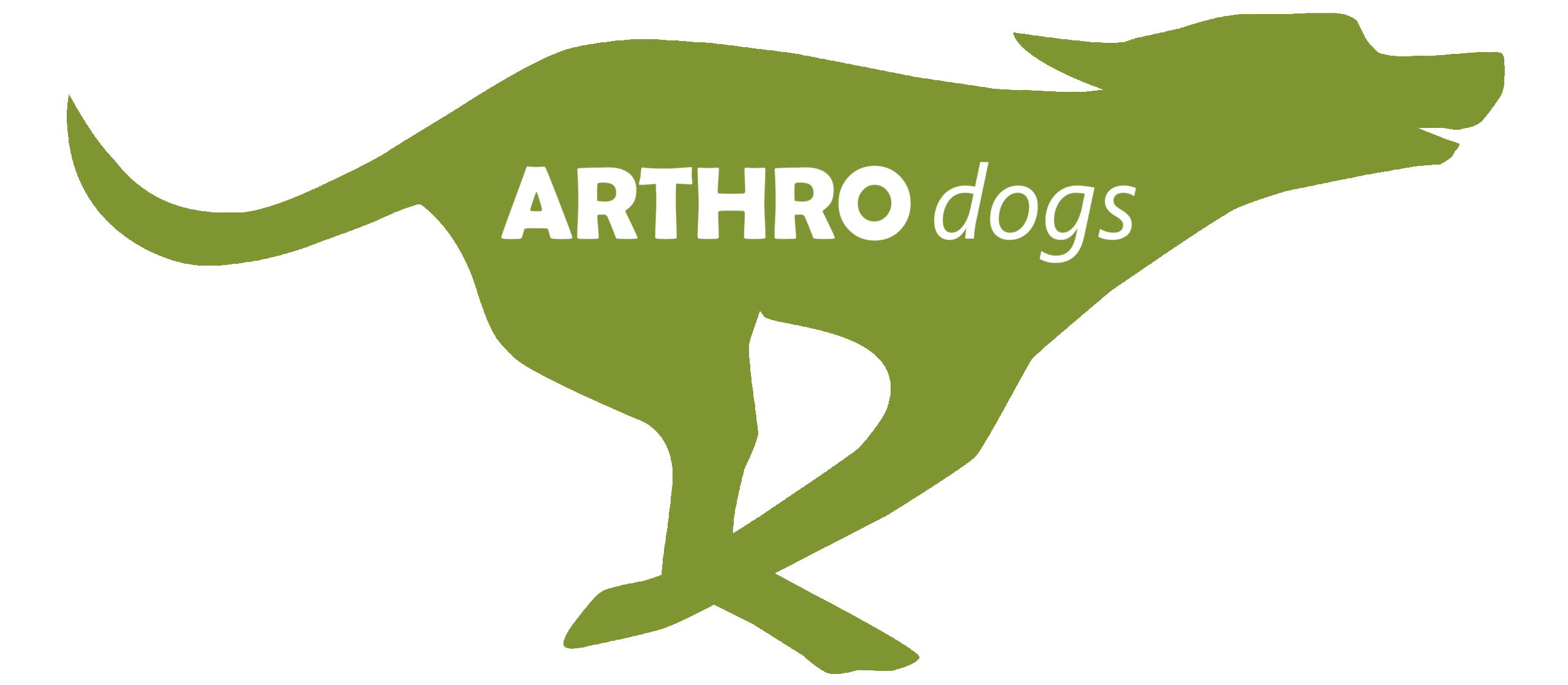 ARTHROdogs