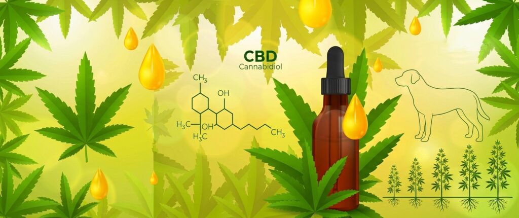 CBD-Einsatz im Rahmender Arthrosetherapie